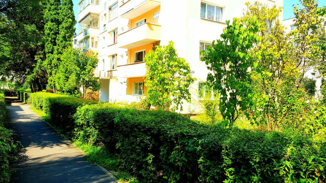 Luxury Paul Apartment Green, Private & Accessible Брашов Екстериор снимка